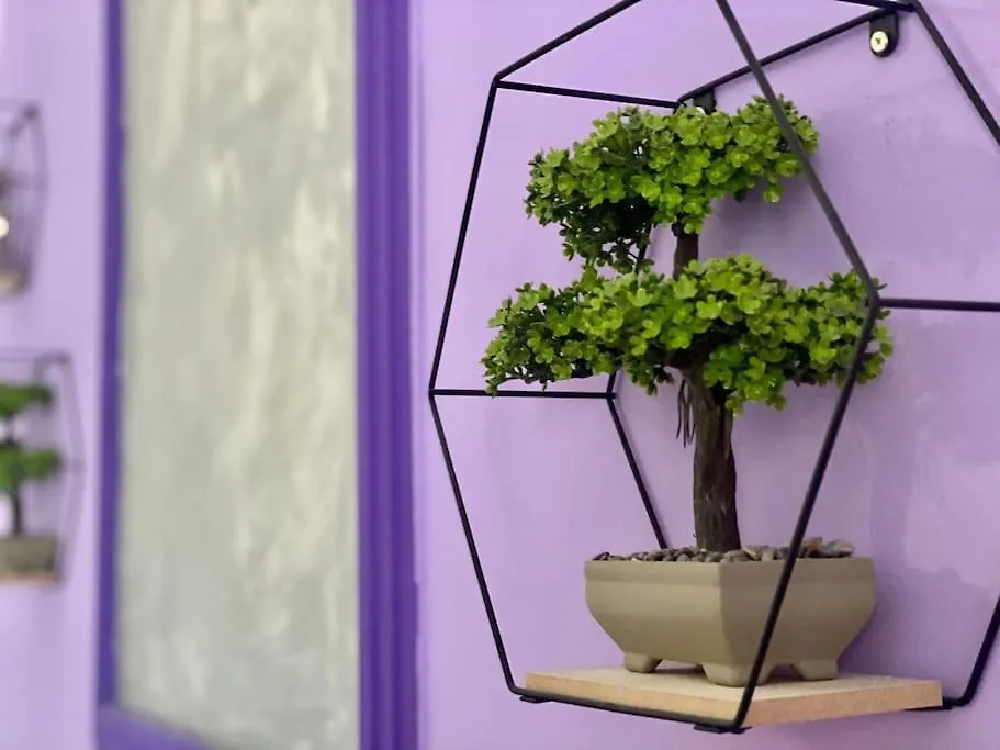 Daire Purple Studio Old Town Ultracental Bükreş Romanya